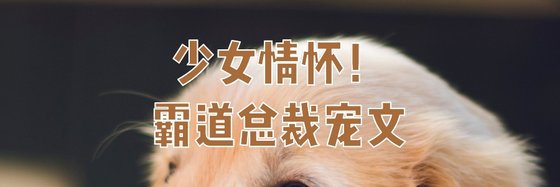 少女情懷！霸道總裁寵文